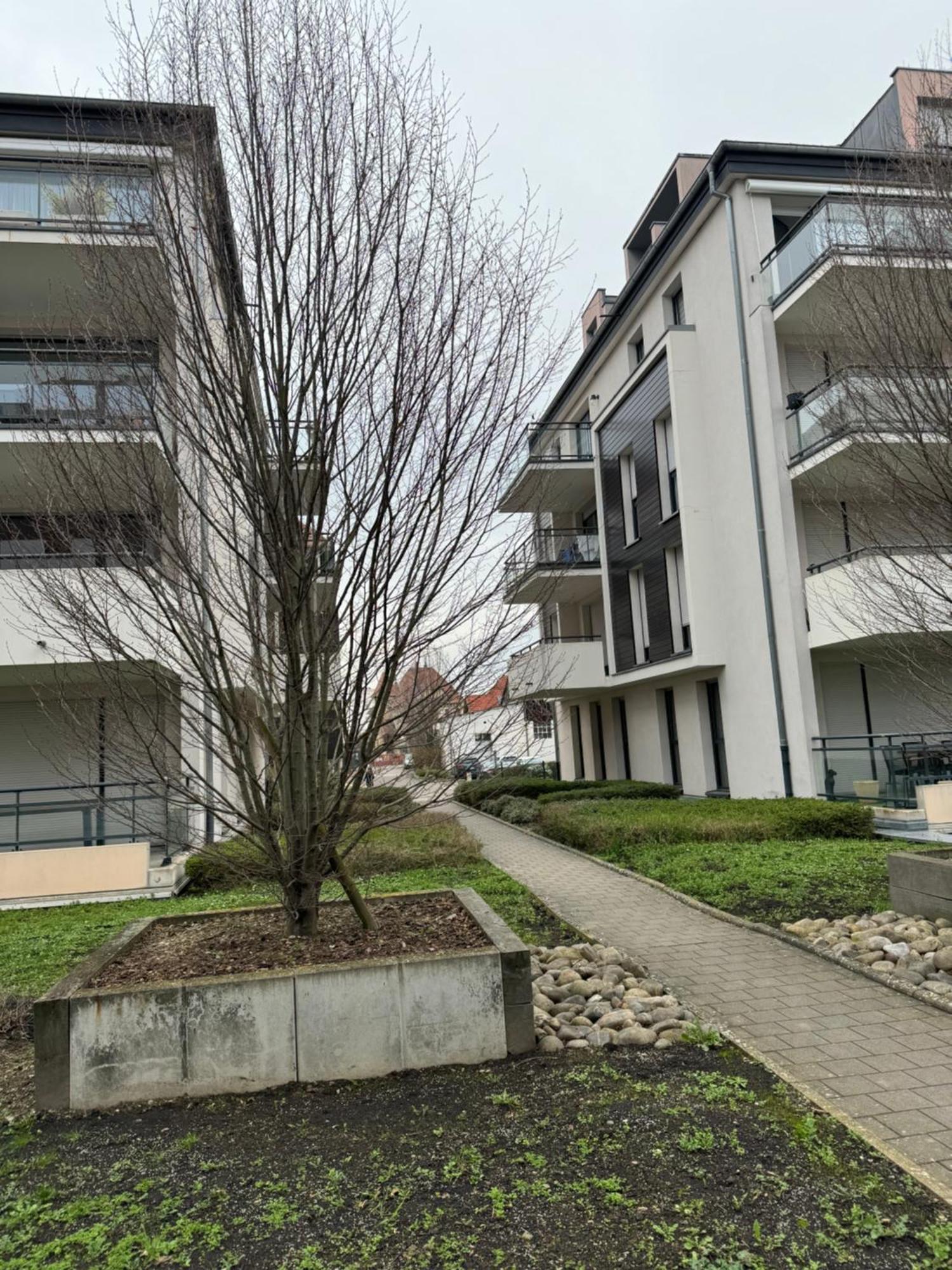Le "Petit Colmarien" A 1Mn Du Centre Lägenhet Exteriör bild